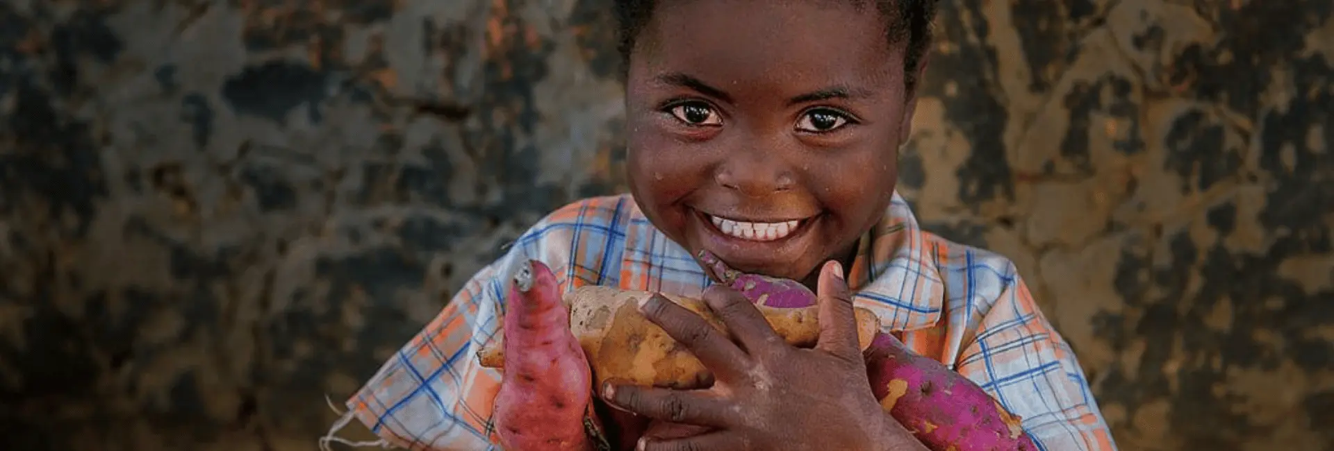 Food Programs